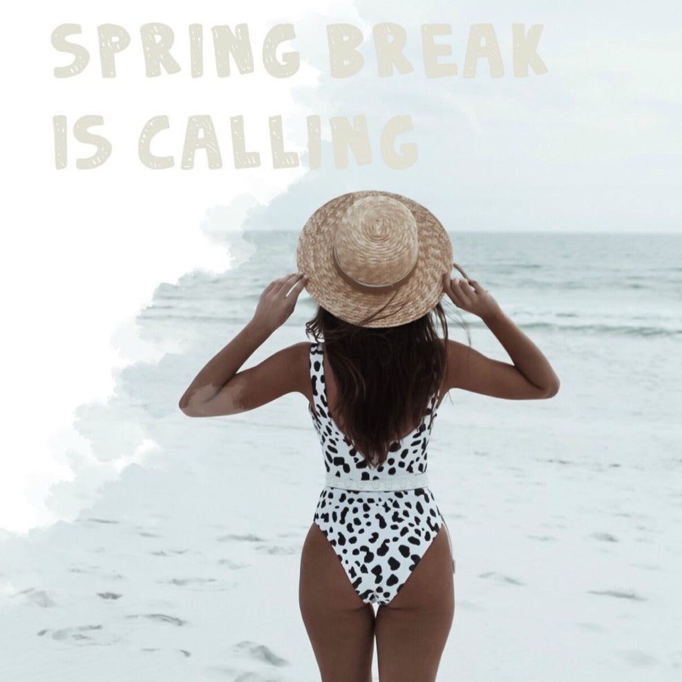 Spring Break 2019 Bikinis