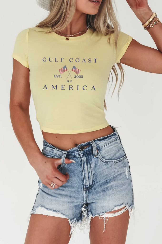 gulf coast of america shirt baby tee y2k